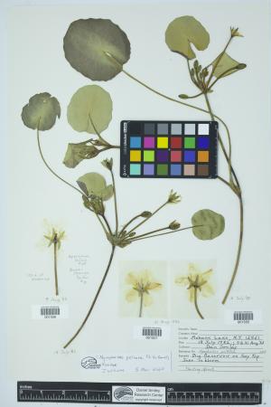 90854-Service File.jpg