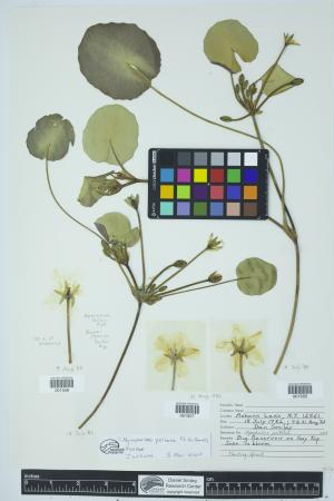 90855-Service File.jpg