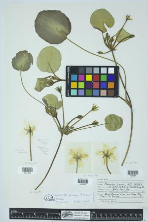 90856-Service File.jpg