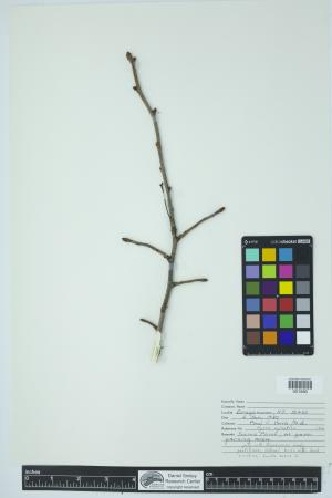 90884-Service File.jpg