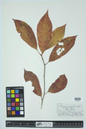 90888-Service File.jpg