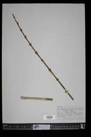 90890-Service File.jpg