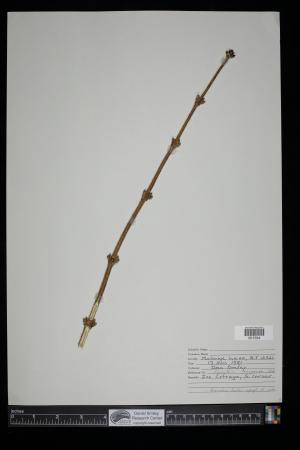 90892-Service File.jpg