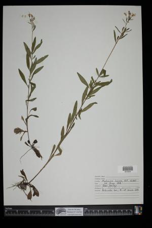 90922-Service File.jpg