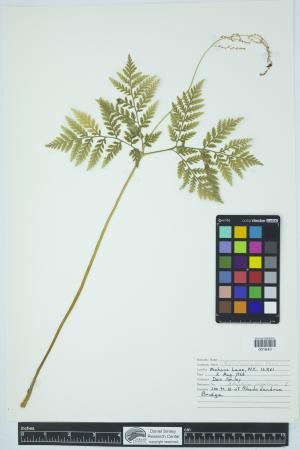 90941-Service File.jpg