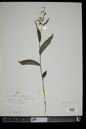 90956-Service File.jpg