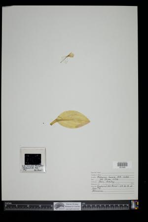 90962-Service File.jpg