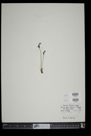 90971-Service File.jpg