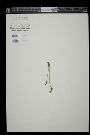 90972-Service File.jpg