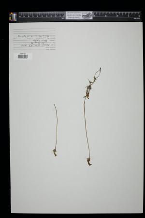 90973-Service File.jpg