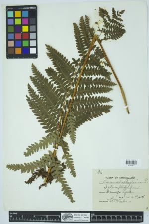 90990-Service File.jpg