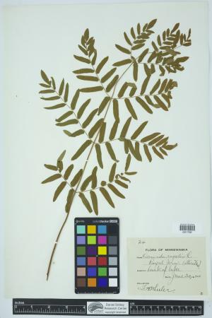 90995-Service File.jpg