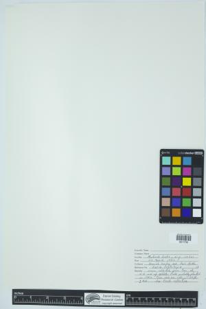 91019-Service File.jpg