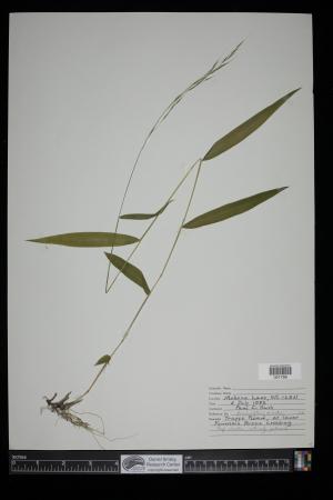 91073-Service File.jpg