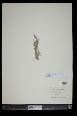91099-Service File.jpg