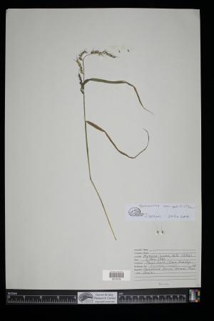 91103-Service File.jpg