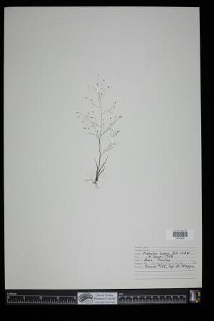 91110-Service File.jpg
