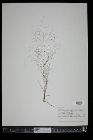 91111-Service File.jpg