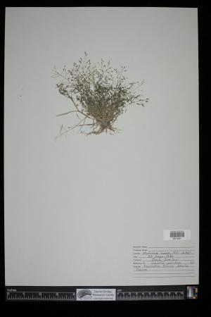 91116-Service File.jpg