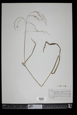 91123-Service File.jpg