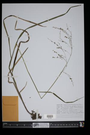 91124-Service File.jpg
