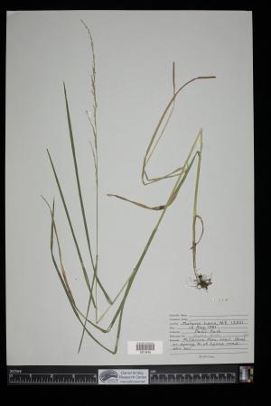 91130-Service File.jpg