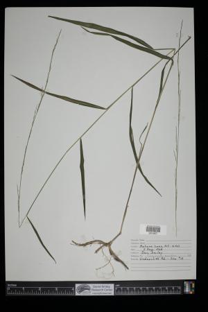 91142-Service File.jpg