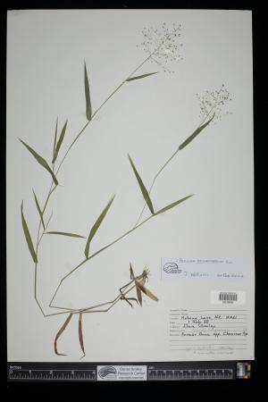 91145-Service File.jpg