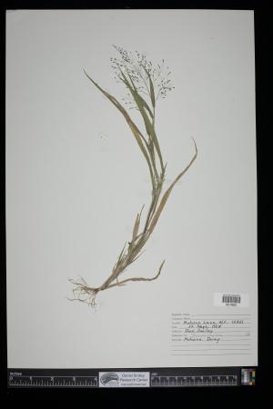 91150-Service File.jpg