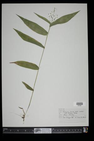 91152-Service File.jpg