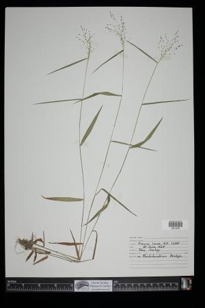 91163-Service File.jpg