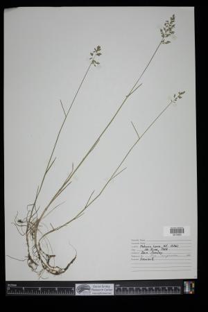 91178-Service File.jpg