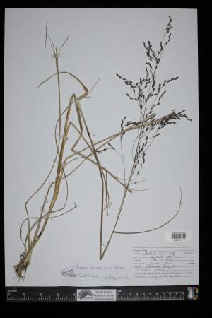 91195-Service File.jpg
