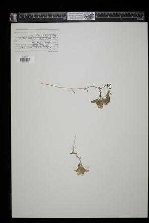 91196-Service File.jpg