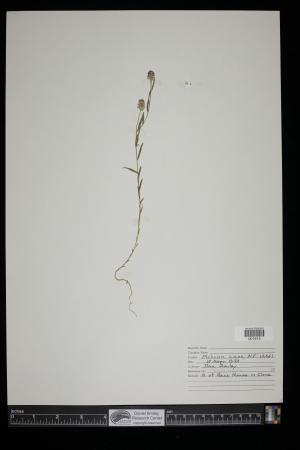 91197-Service File.jpg