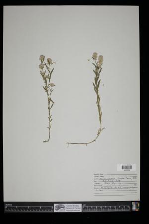 91198-Service File.jpg