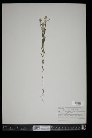 91199-Service File.jpg