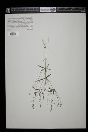 91200-Service File.jpg