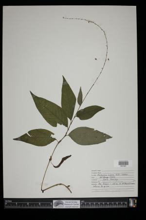 91223-Service File.jpg