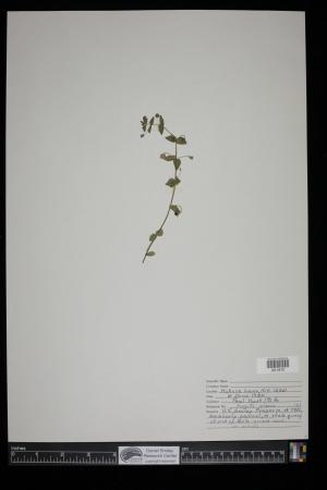 91250-Service File.jpg