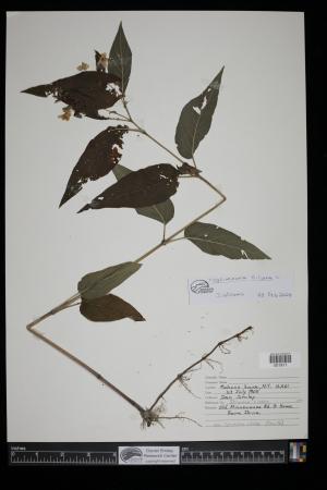 91251-Service File.jpg