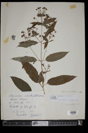 91254-Service File.jpg