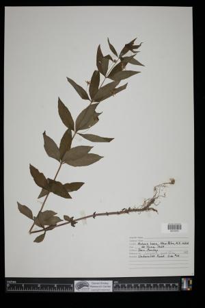 91255-Service File.jpg