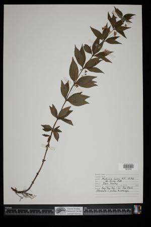 91256-Service File.jpg
