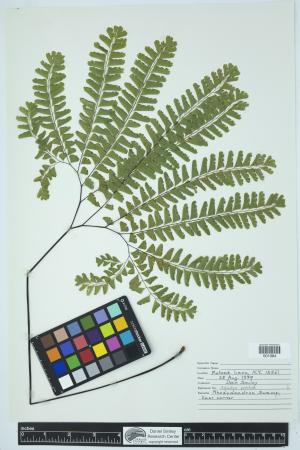 91264-Service File.jpg