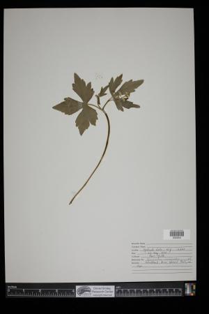 91303-Service File.jpg