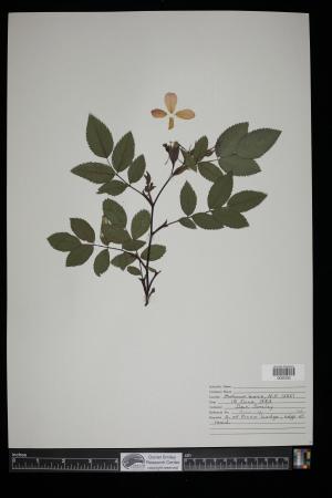 91314-Service File.jpg