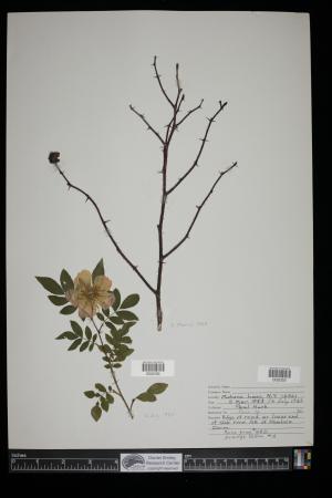 91315-Service File.jpg