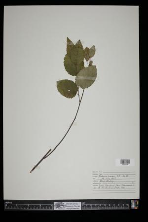 91325-Service File.jpg