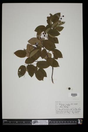 91330-Service File.jpg